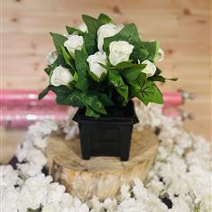 Artificial White Rose