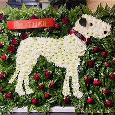 Funeral Tribute For All Dog Lovers